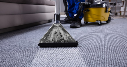 Drying Wet Carpets,Rug Drying Wet Carpets,Rug