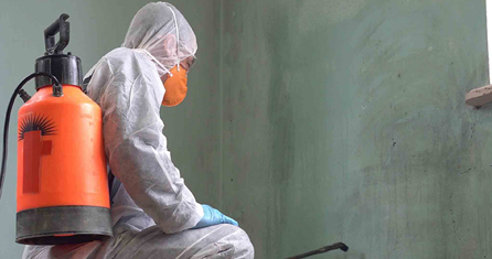 Mould Removal & Prevention. Mould Removal & Prevention
